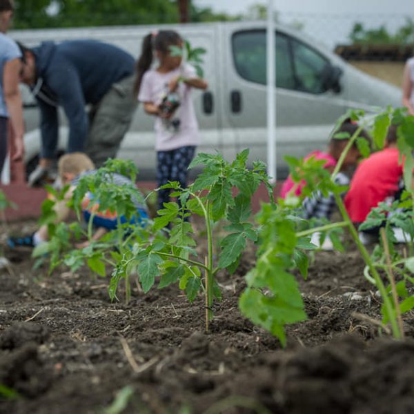 ovikert program ódodakert pedagógia ovikert program ódodakert pedagógia