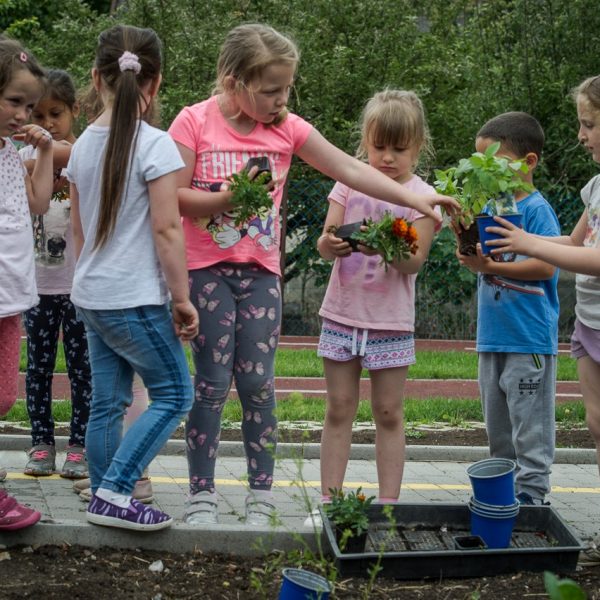 ovikert program ódodakert pedagógia ovikert program ódodakert pedagógia