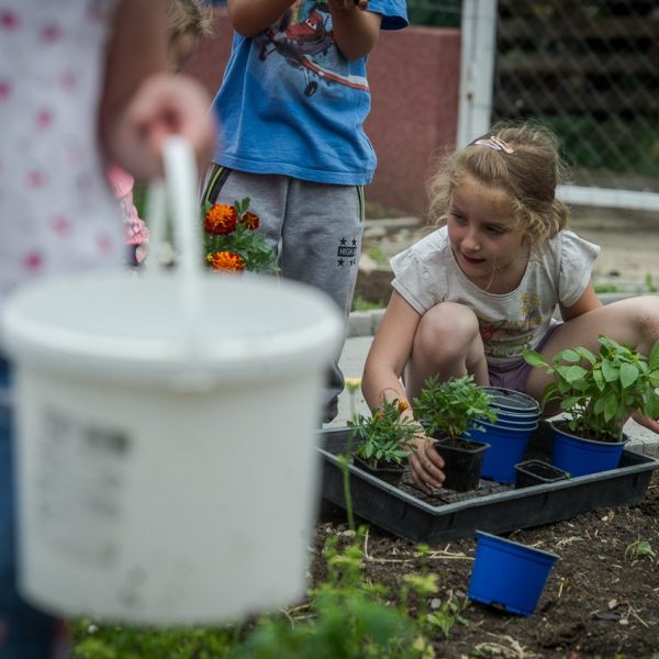 ovikert program ódodakert pedagógia ovikert program ódodakert pedagógia