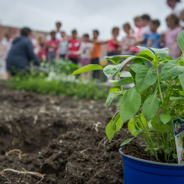 ovikert program óvodakert