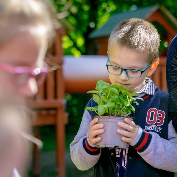 ovikert program óvodakert