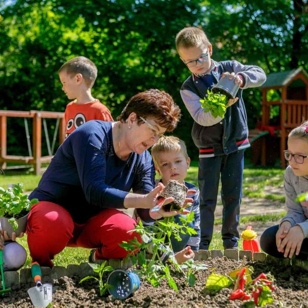 ovikert program óvodakert